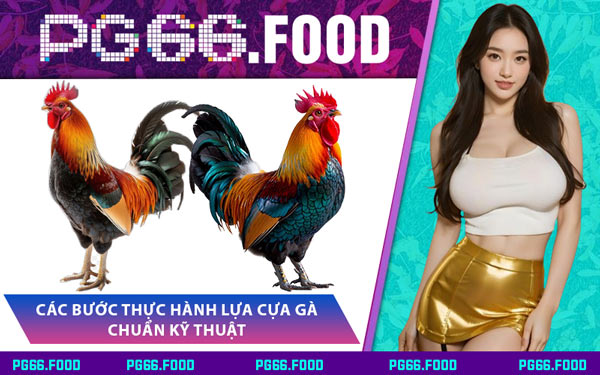 Các Bước Thực Hành Lựa Cựa Gà Chuẩn Kỹ Thuật