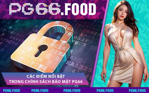 Các Điểm Nổi Bật Trong Chính Sách Bảo Mật PG66