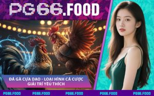 Đá Gà Cựa Dao - Loại Hình Cá Cược Giải Trí Yêu Thích