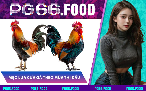 Mẹo Lựa Cựa Gà Theo Mùa Thi Đấu
