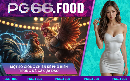 Một Số Giống Chiến Kê Phổ Biến Trong Đá Gà Cựa Dao