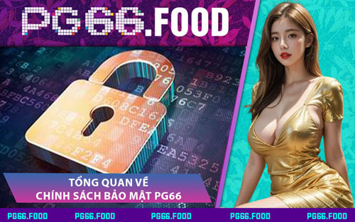Tổng Quan Về Chính Sách Bảo Mật PG66