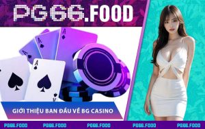 Giới thiệu ban đầu về Bg Casino