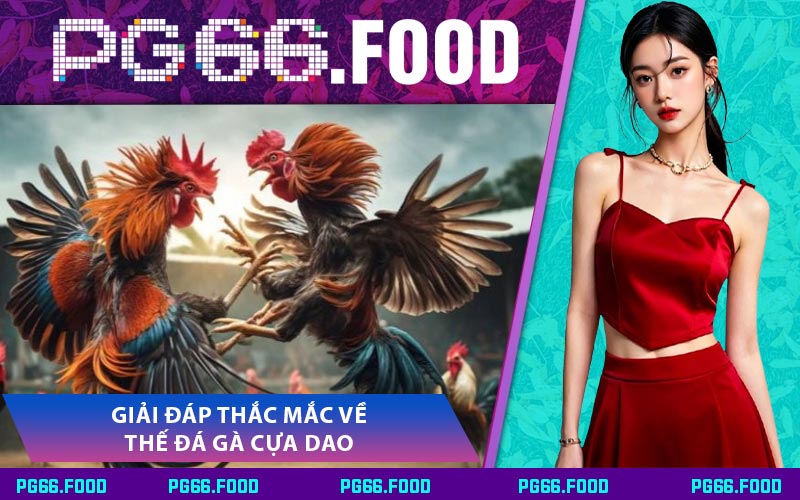 Giải Đáp Thắc Mắc Về Thế Đá Gà Cựa Dao