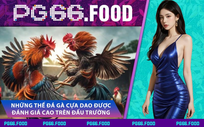 Những Thế Đá Gà Cựa Dao Được Đánh Giá Cao Trên Đấu Trường