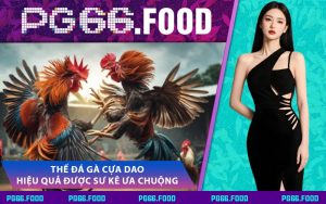 Thế Đá Gà Cựa Dao Hiệu Quả Được Sư Kê Ưa Chuộng