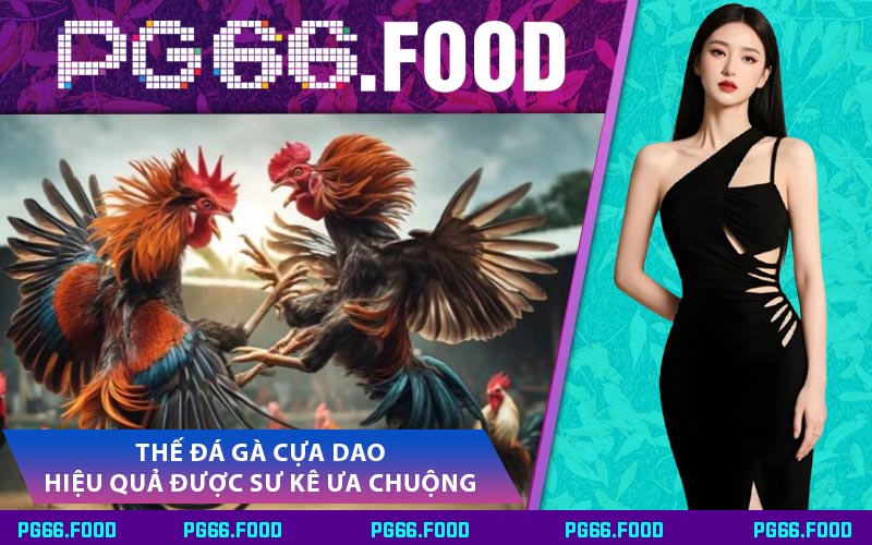 Thế Đá Gà Cựa Dao Hiệu Quả Được Sư Kê Ưa Chuộng